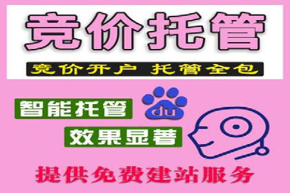 百度推广代运营公司案例分享：效果显著的销售增长