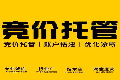 成功案例：SEM托管提升网站流量策略